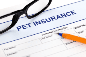 Pet Insurance Form