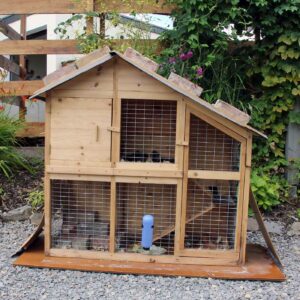 skinny pig cage