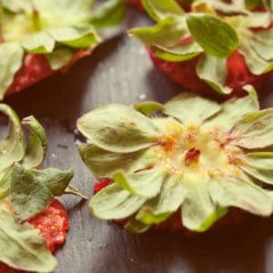 Strawberries Stems