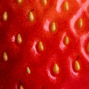 Strawberry Seeds