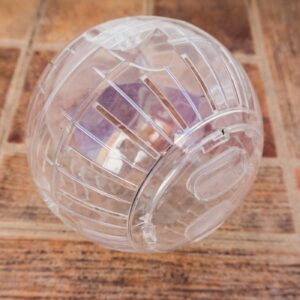 Large clear hamster ball
