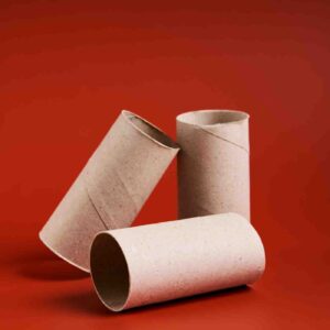 Cardboard toilet rolls