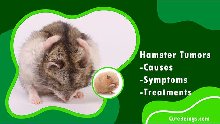 Hamster Tumors