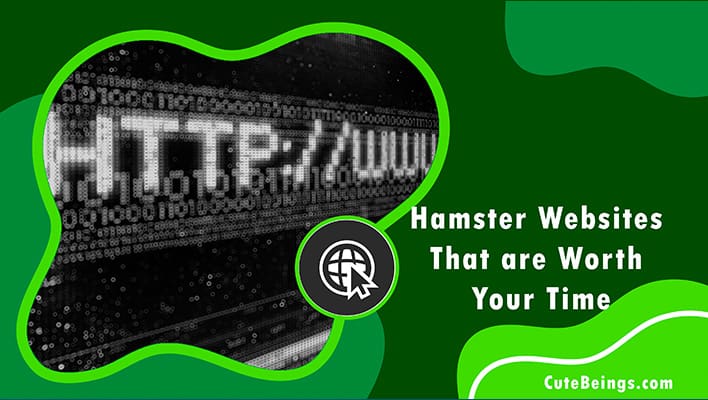 Hamster Website