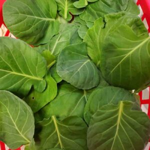Brussels sprout leaves