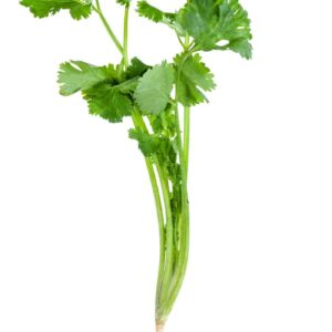 Cilantro stems