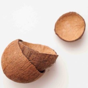 Coconut shell