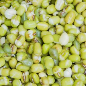Green bean seeds