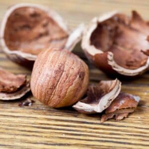 Hazelnut Shells