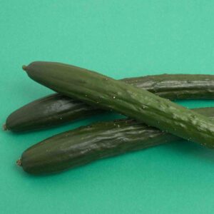 Japanese cucumber