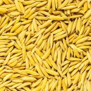 Rice grains