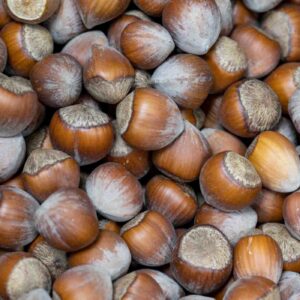 Shelled hazelnuts