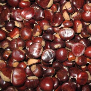 Sweet chestnuts