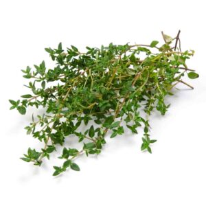 Thyme leaves