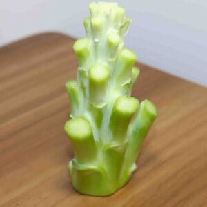 Broccoli stem