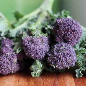 Purple sprouting broccoli