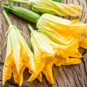 Zucchini flowers