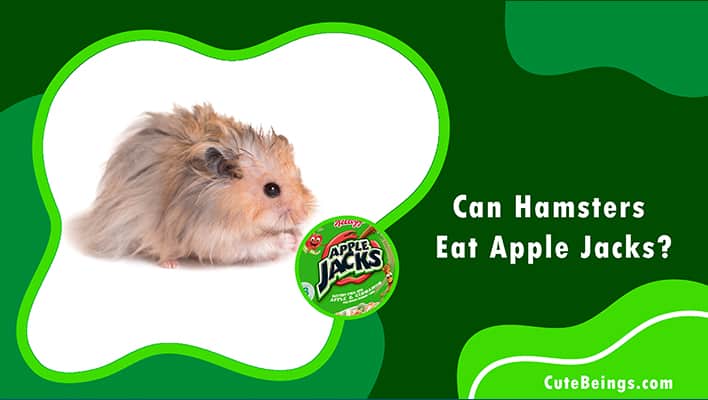 Can Hamsters Eat Apple Jacks