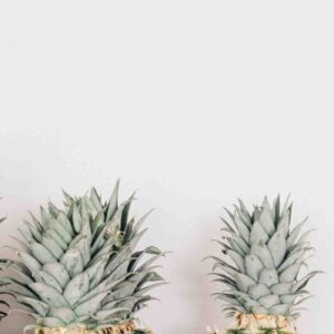 Pineapple tops