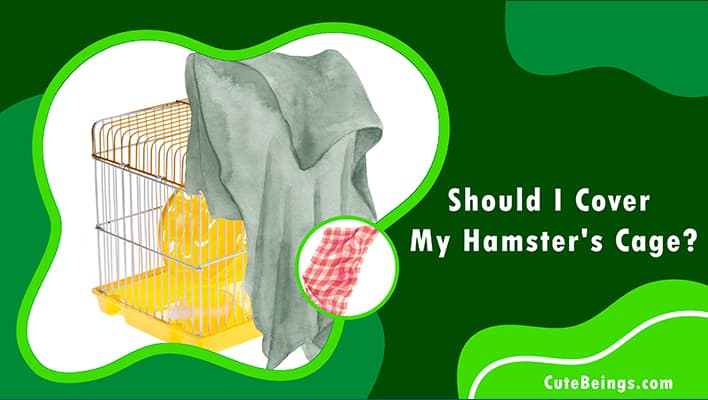 Should I Cover My Hamster's Cage